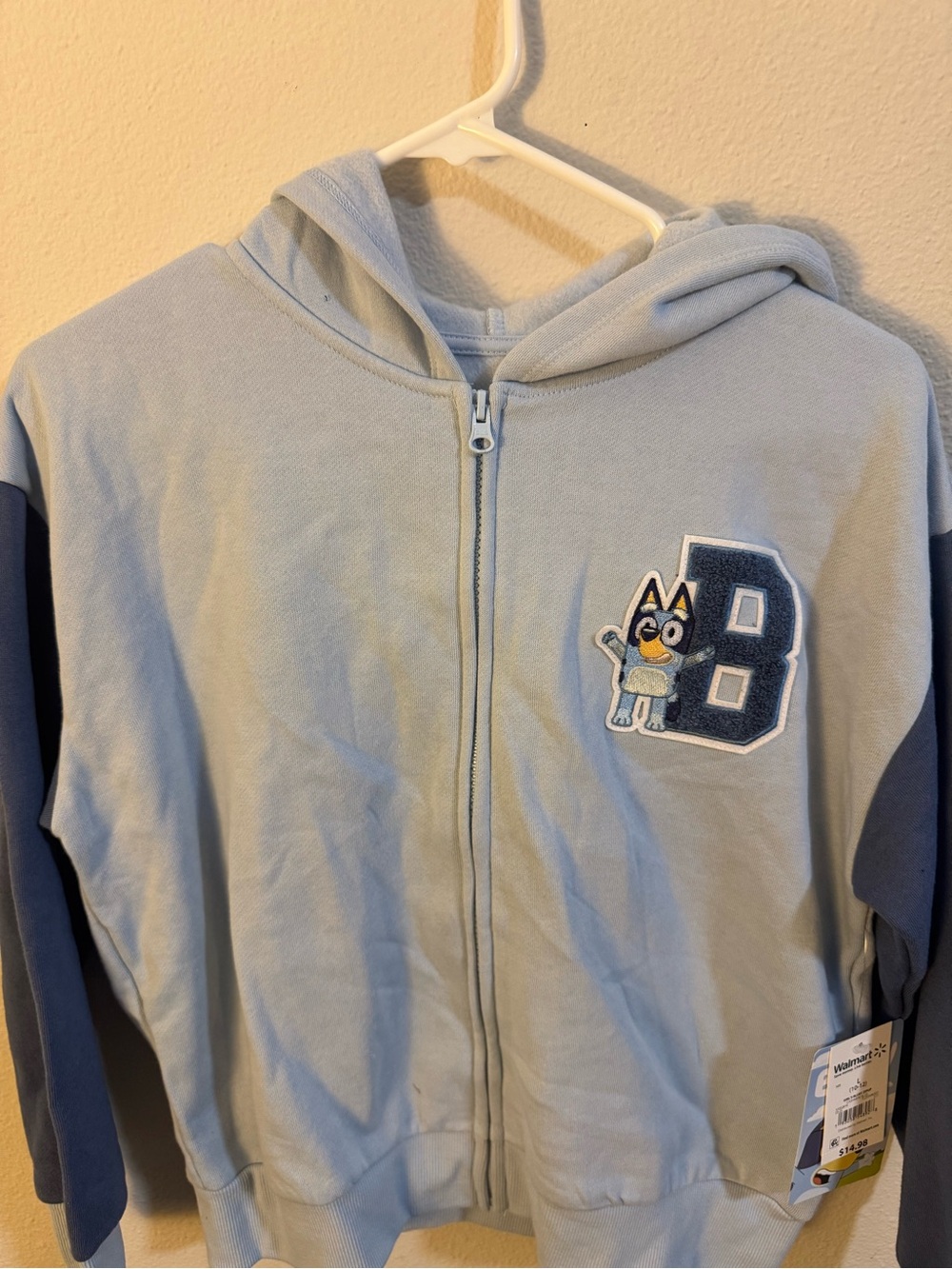Light Blue Kids Zip-Up Hoodie with 'B' Applique - Bluey Character